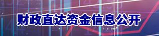 財(cái)政直達(dá)資金信息公開(kāi)